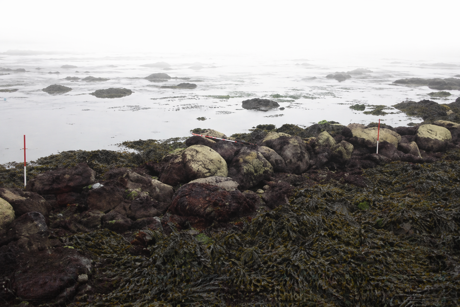 Réalité physique GEOFISH