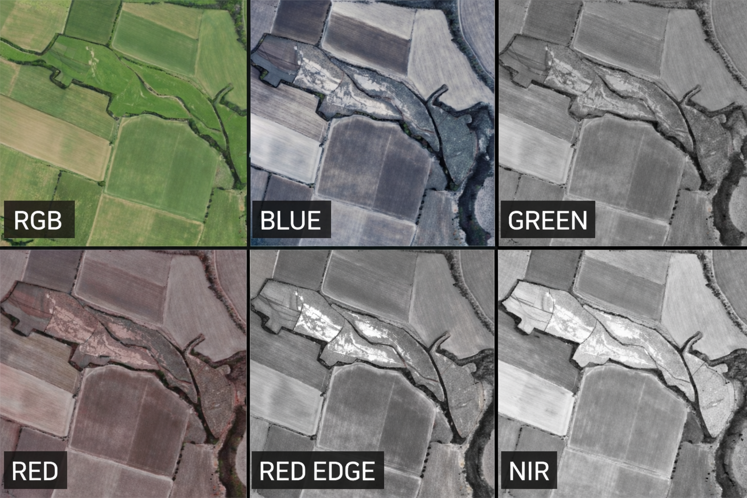 Bandes spectrales brutes